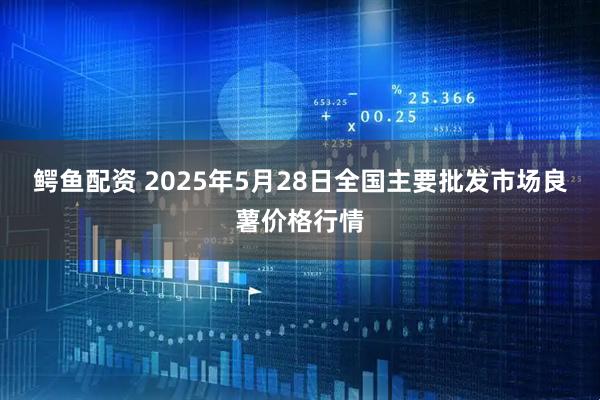 鳄鱼配资 2025年5月28日全国主要批发市场良薯价格行情