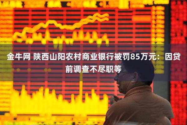 金牛网 陕西山阳农村商业银行被罚85万元：因贷前调查不尽职等