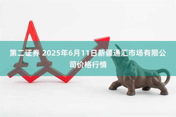 第二证券 2025年6月11日新疆通汇市场有限公司价格行情