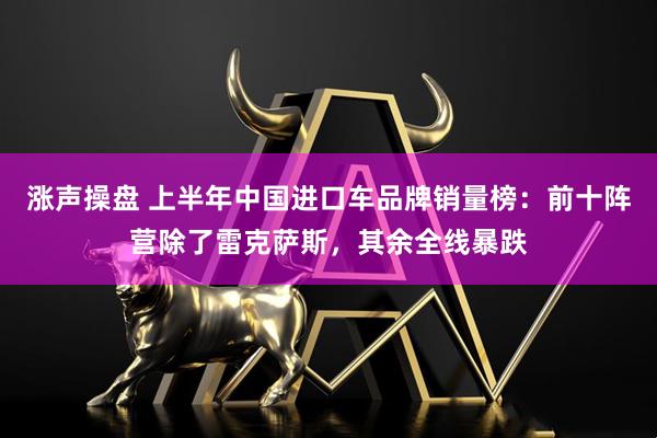 涨声操盘 上半年中国进口车品牌销量榜：前十阵营除了雷克萨斯，其余全线暴跌