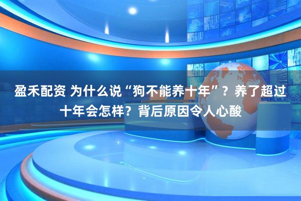 盈禾配资 为什么说“狗不能养十年”？养了超过十年会怎样？背后原因令人心酸