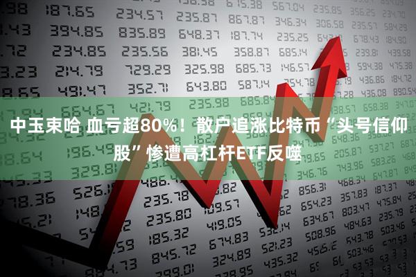 中玉束哈 血亏超80%！散户追涨比特币“头号信仰股”惨遭高杠杆ETF反噬