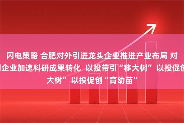 闪电策略 合肥对外引进龙头企业推进产业布局 对内培育科创企业加速科研成果转化  以投带引“移大树” 以投促创“育幼苗”
