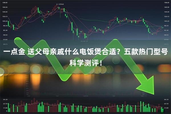 一点金 送父母亲戚什么电饭煲合适？五款热门型号科学测评！